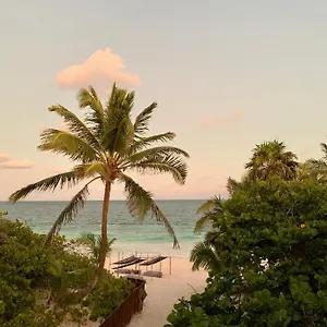 **** Hotel Libelula Beachfront Mexiko